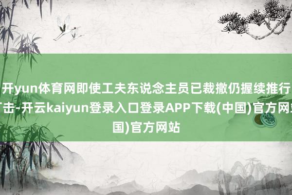 开yun体育网即使工夫东说念主员已裁撤仍握续推行打击-开云kaiyun登录入口登录APP下载(中国)官方网站