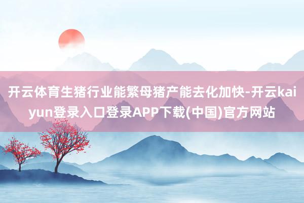 开云体育生猪行业能繁母猪产能去化加快-开云kaiyun登录入口登录APP下载(中国)官方网站