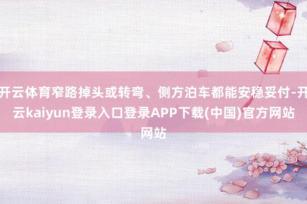 开云体育窄路掉头或转弯、侧方泊车都能安稳妥付-开云kaiyun登录入口登录APP下载(中国)官方网站