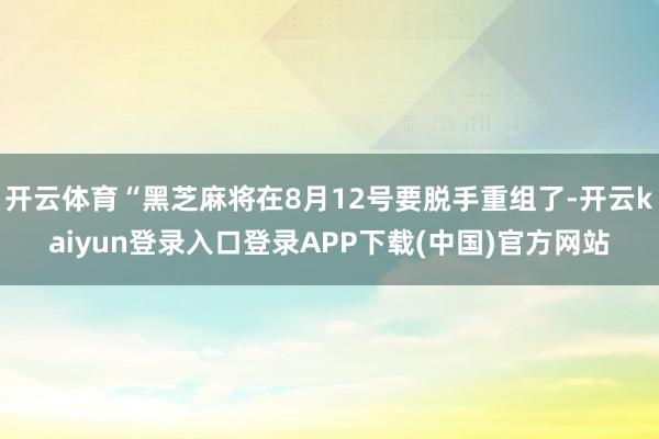 开云体育“黑芝麻将在8月12号要脱手重组了-开云kaiyun登录入口登录APP下载(中国)官方网站