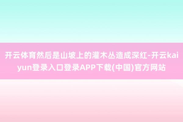 开云体育然后是山坡上的灌木丛造成深红-开云kaiyun登录入口登录APP下载(中国)官方网站
